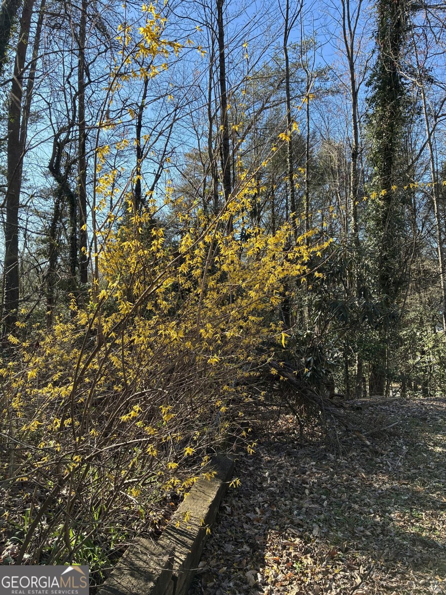 47 Harris Drive Blue Ridge - Photo 51