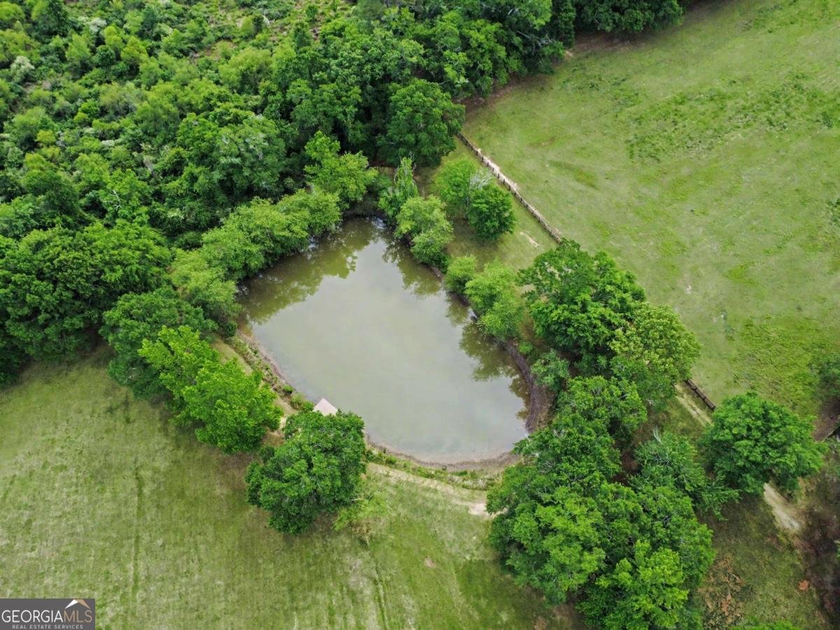 727 Old Collins Road Hoschton - Photo 48