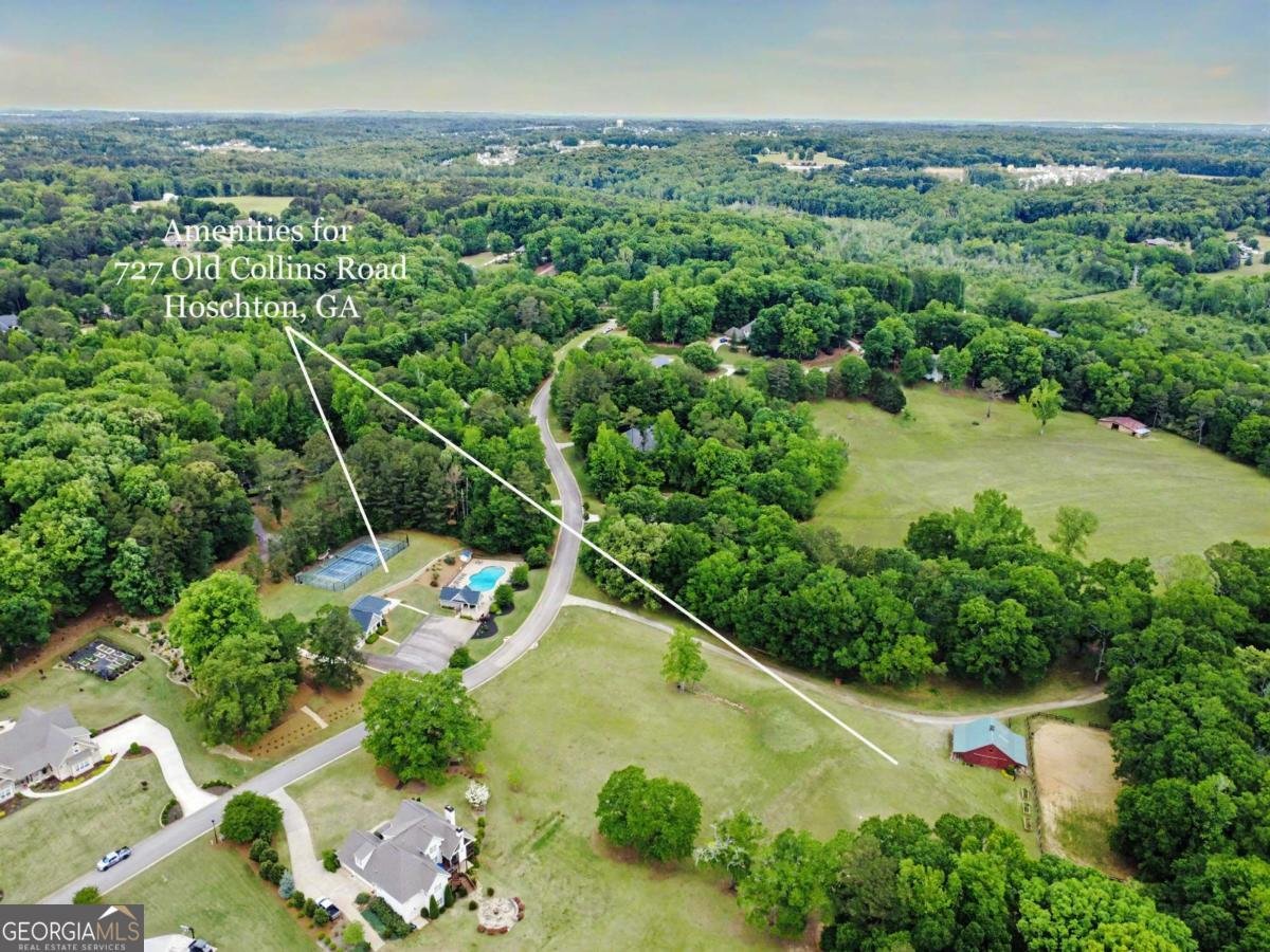 727 Old Collins Road Hoschton - Photo 56