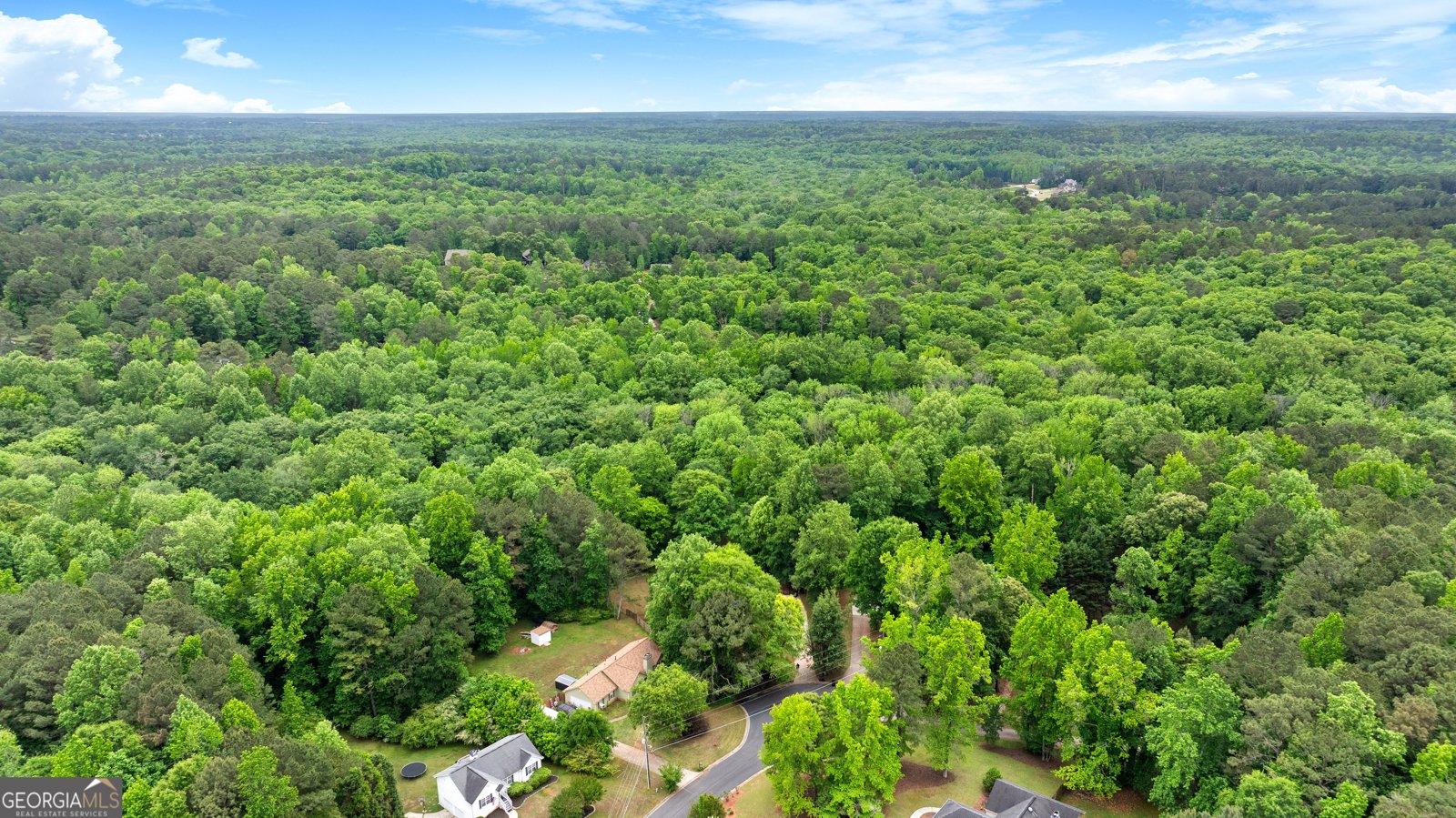 248 River Park Drive Newnan - Photo 43