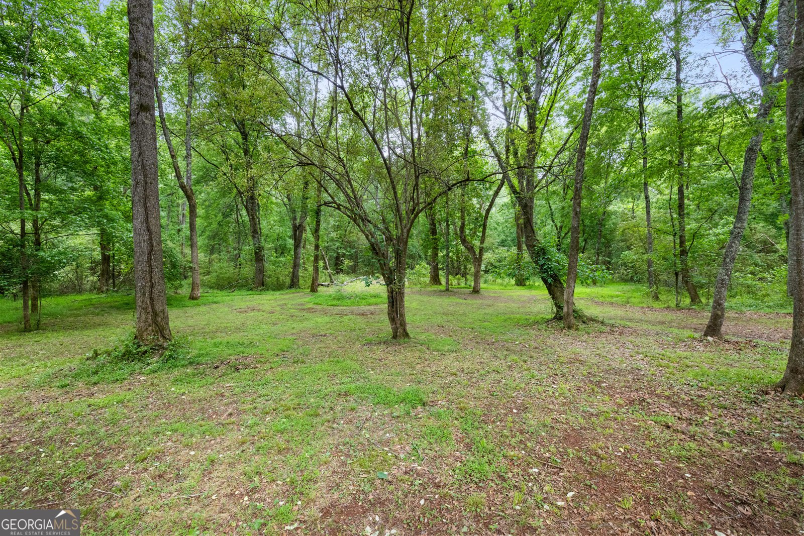 248 River Park Drive Newnan - Photo 69