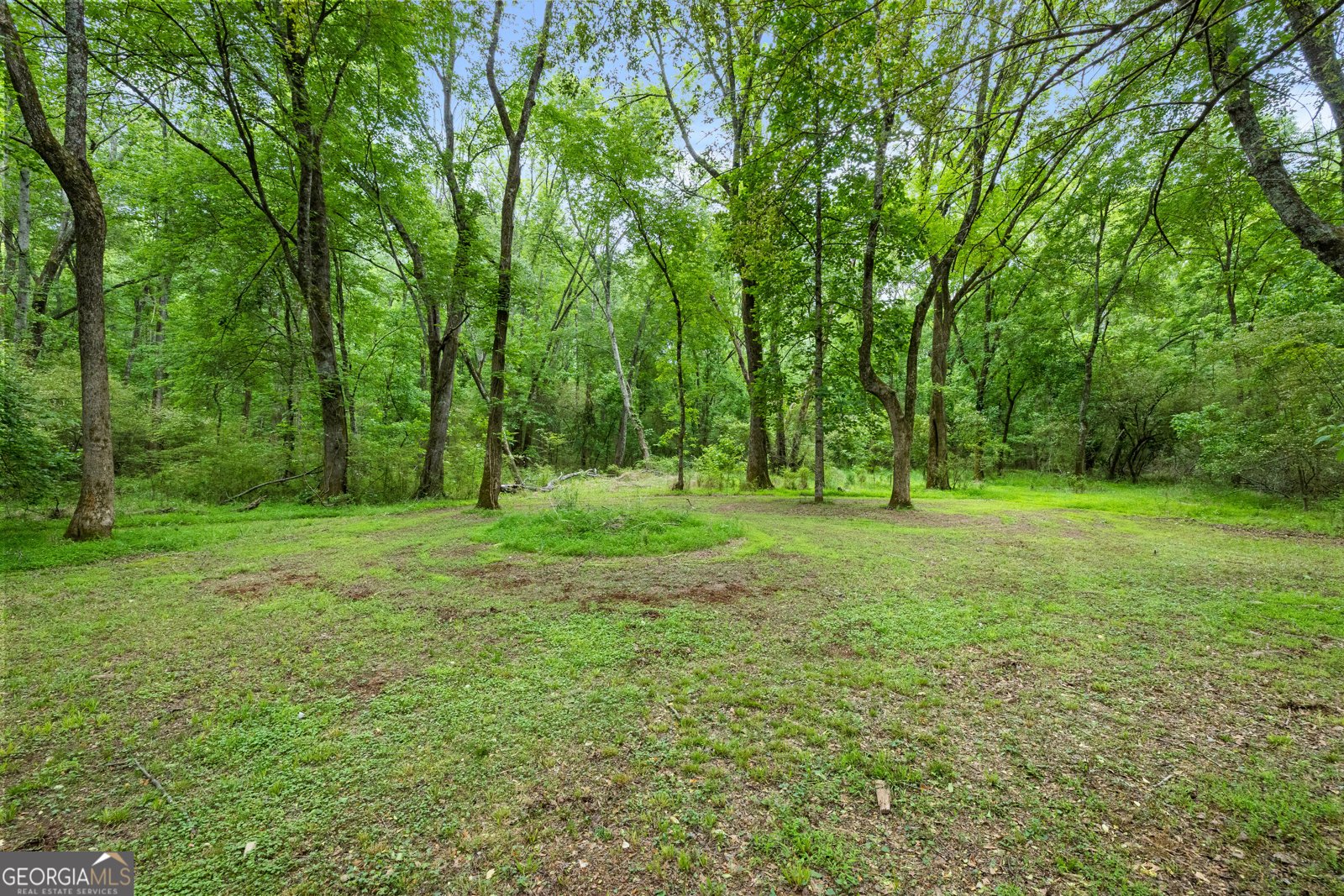 248 River Park Drive Newnan - Photo 70