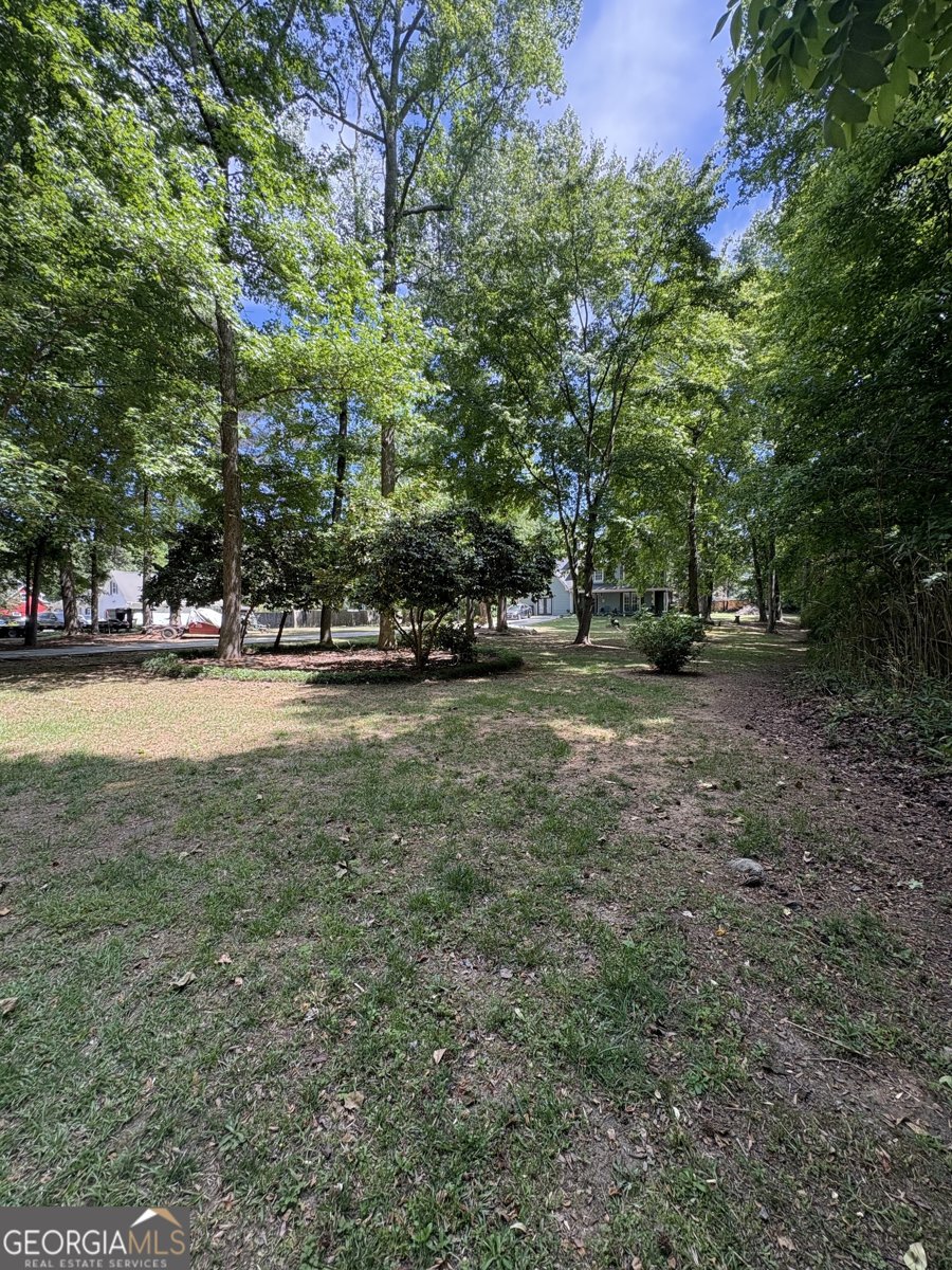 1769 Brandi Lane Loganville - Photo 55