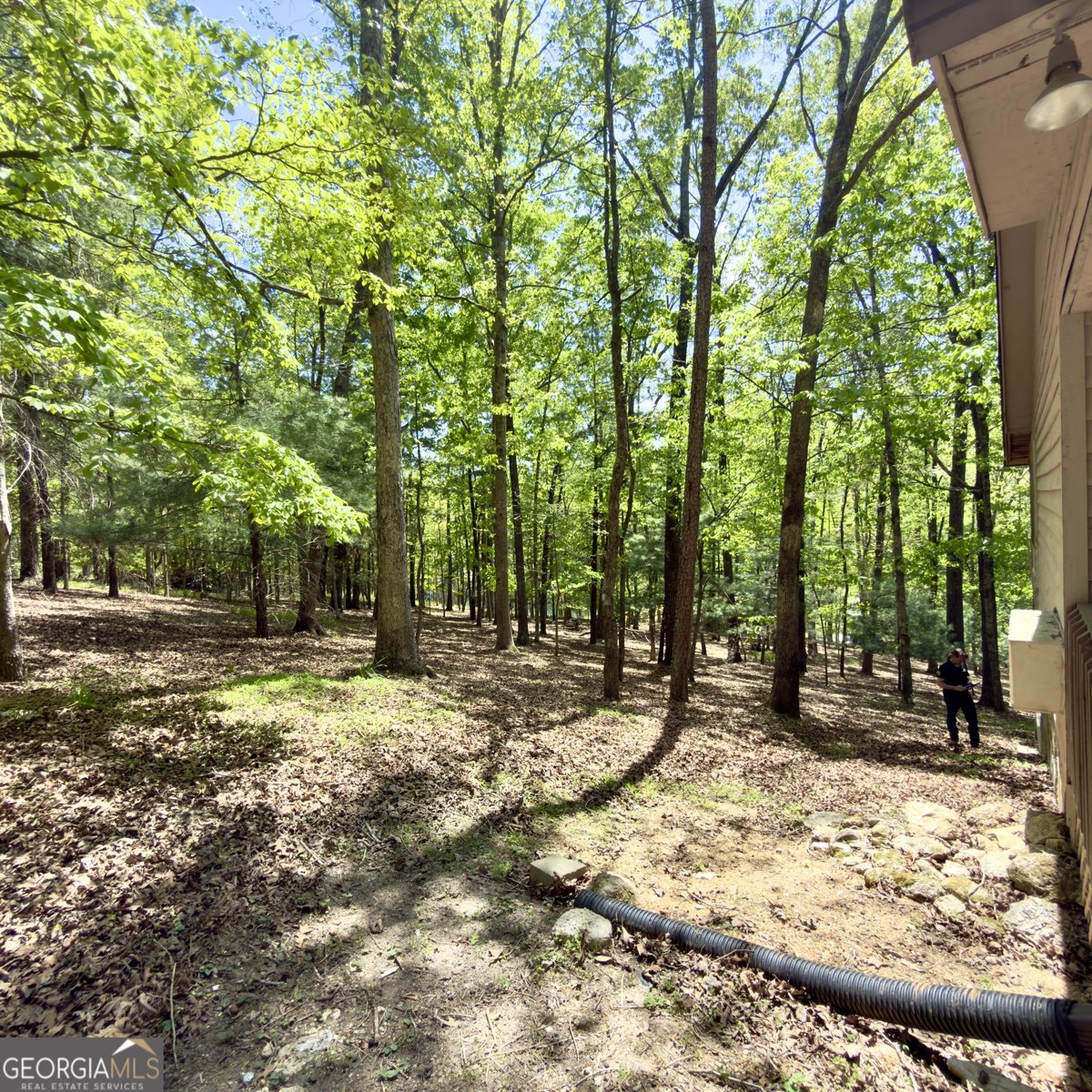 109 Misty Hollow Ridge Ellijay - Photo 13