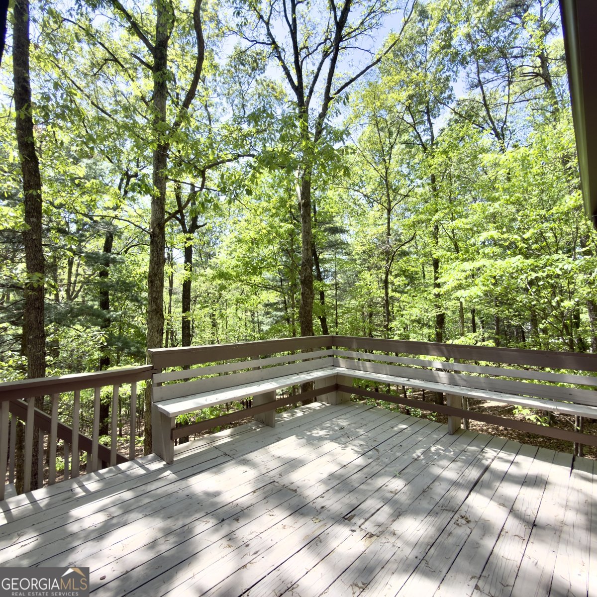 109 Misty Hollow Ridge Ellijay - Photo 42