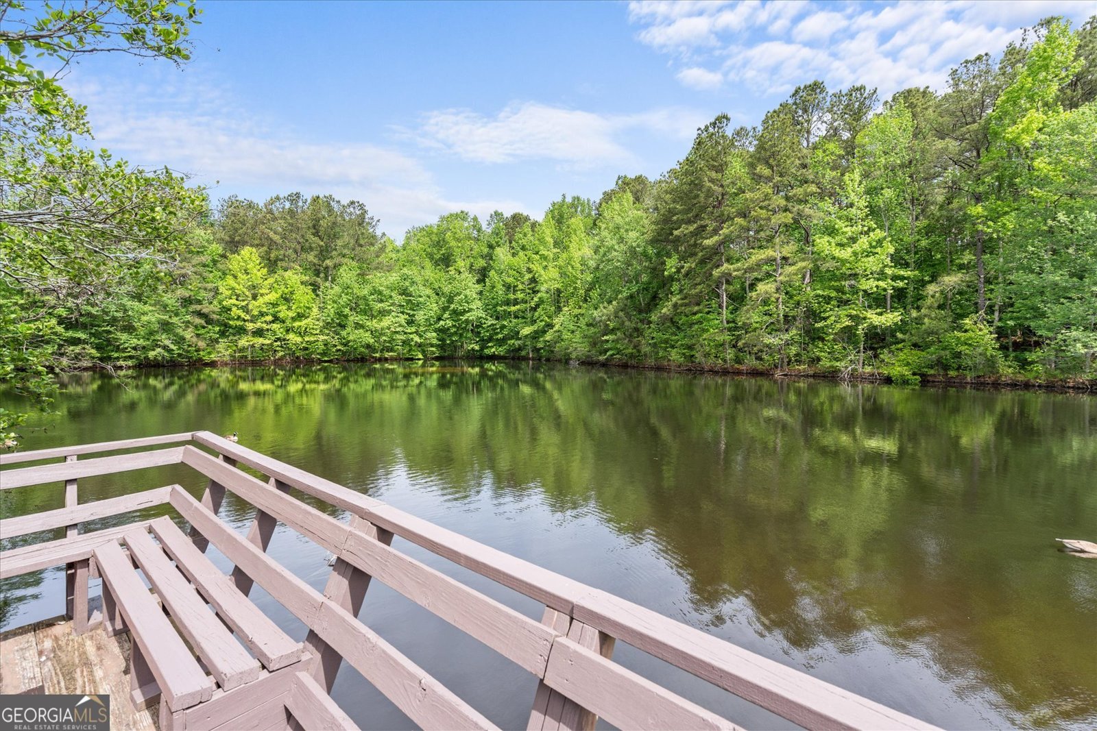 3662 Spivey Drive Douglasville - Photo 62