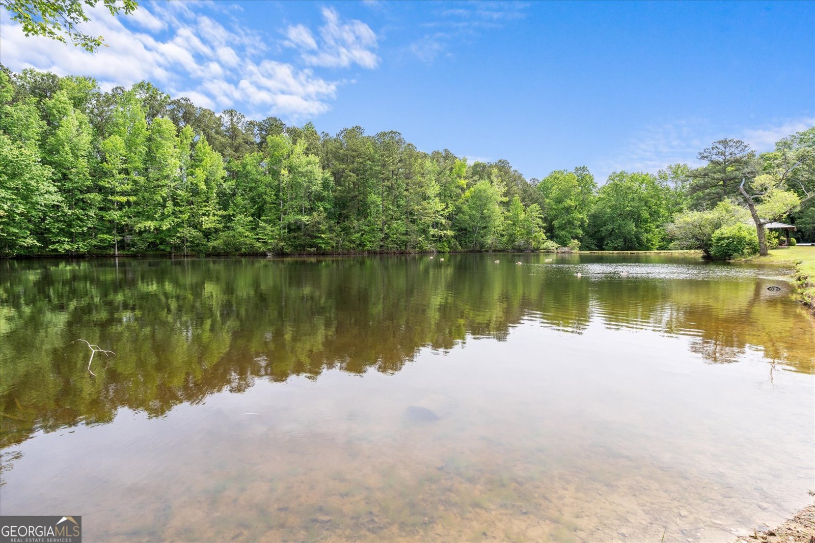 3662 Spivey Drive Douglasville - Photo 68