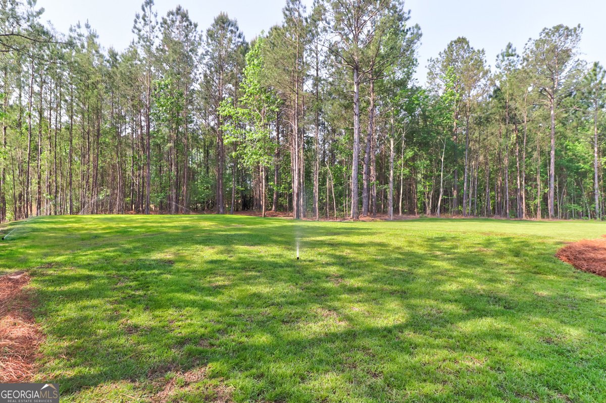 100 Roberts Road Springfield - Photo 49