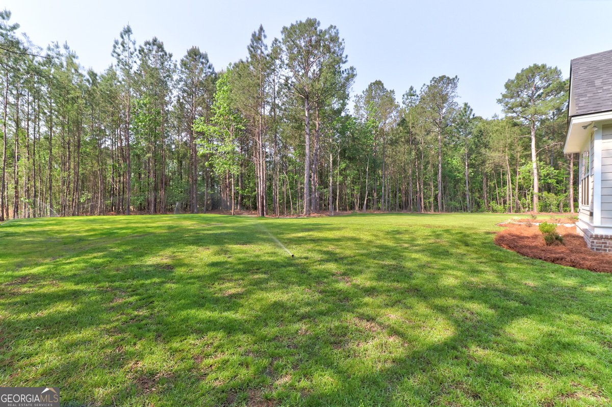 100 Roberts Road Springfield - Photo 50
