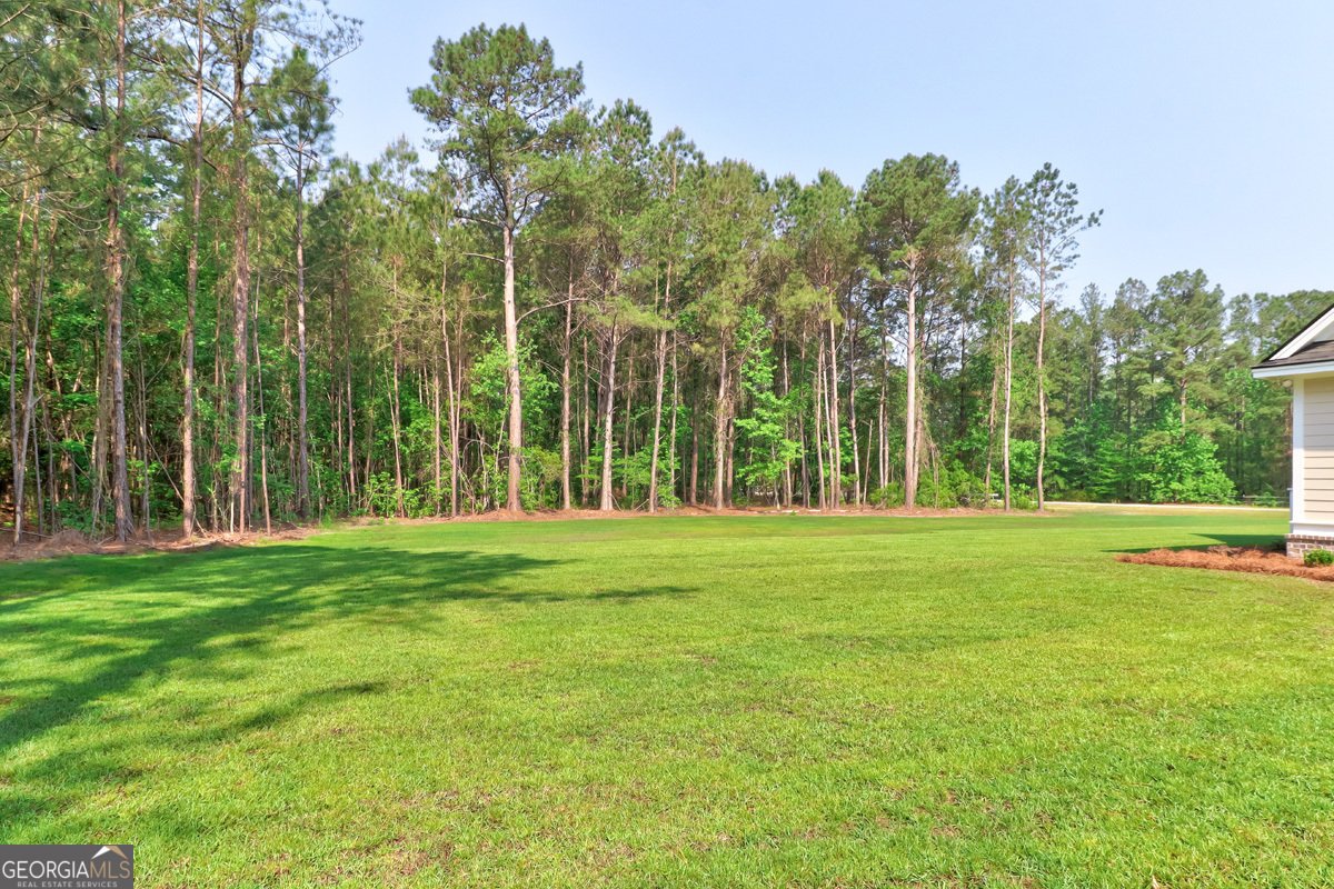100 Roberts Road Springfield - Photo 51