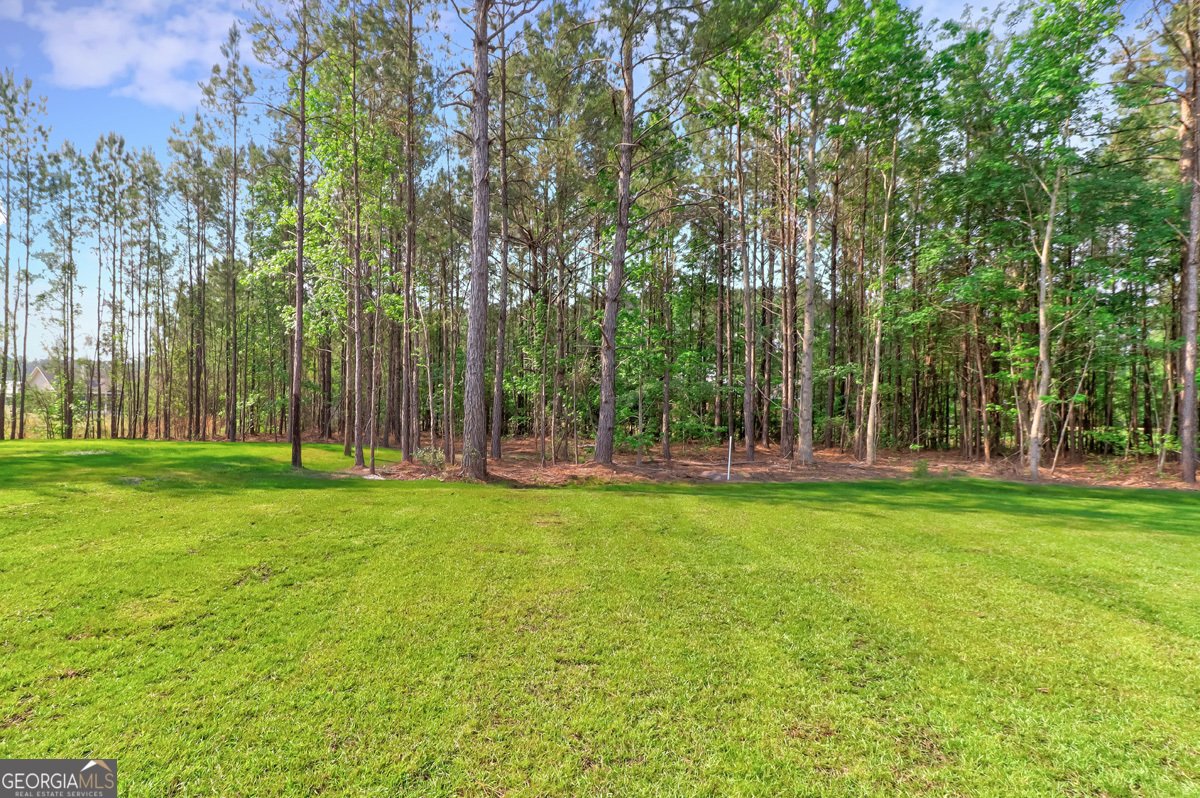 100 Roberts Road Springfield - Photo 52