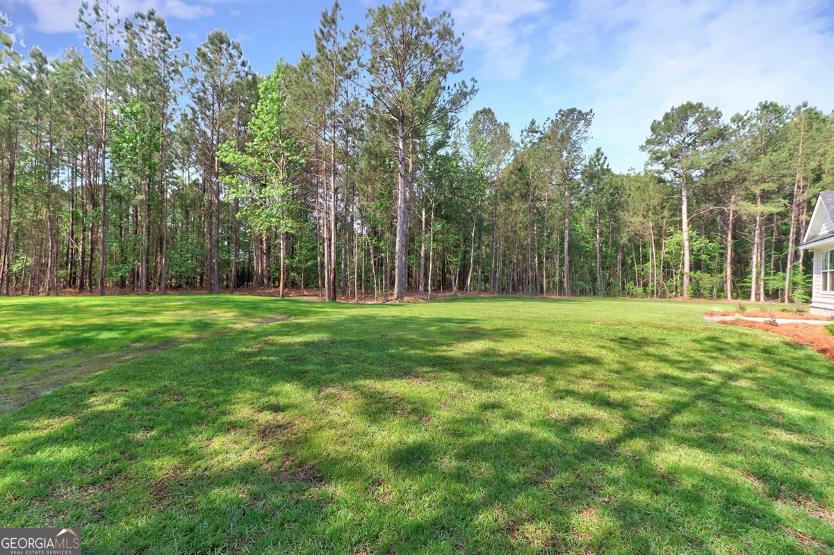 100 Roberts Road Springfield - Photo 54