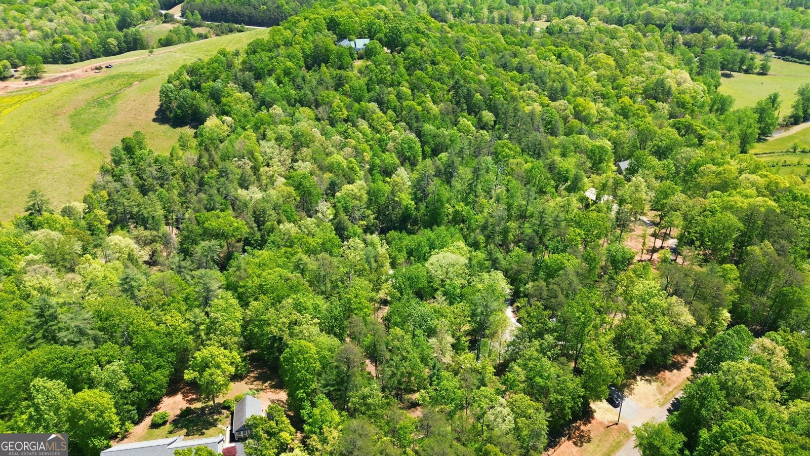 497 Mill Trace Court Cleveland - Photo 23