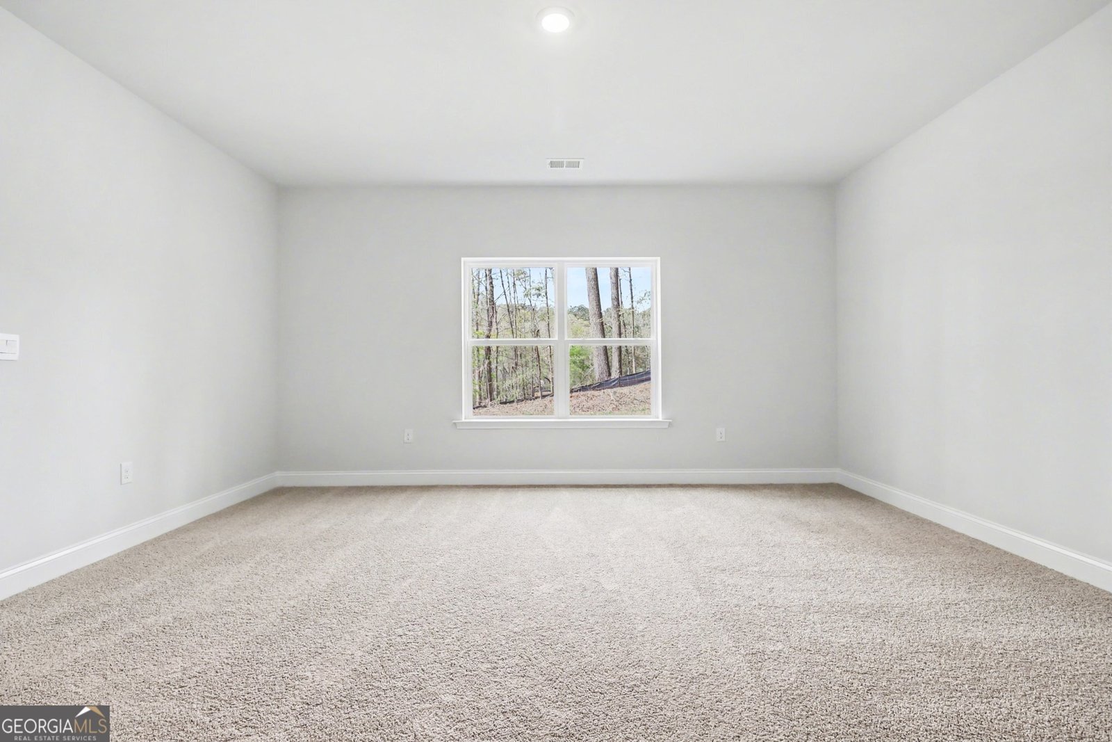 626 Walnut Creek Parkway Pendergrass - Photo 26