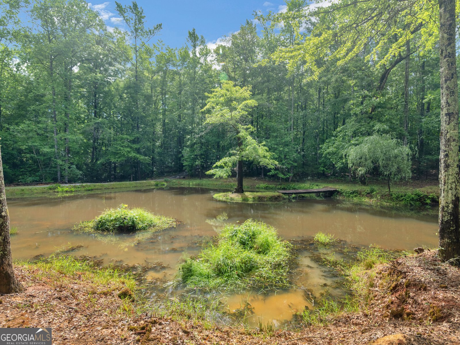 191, 151 Batten Drive Thomaston - Photo 46