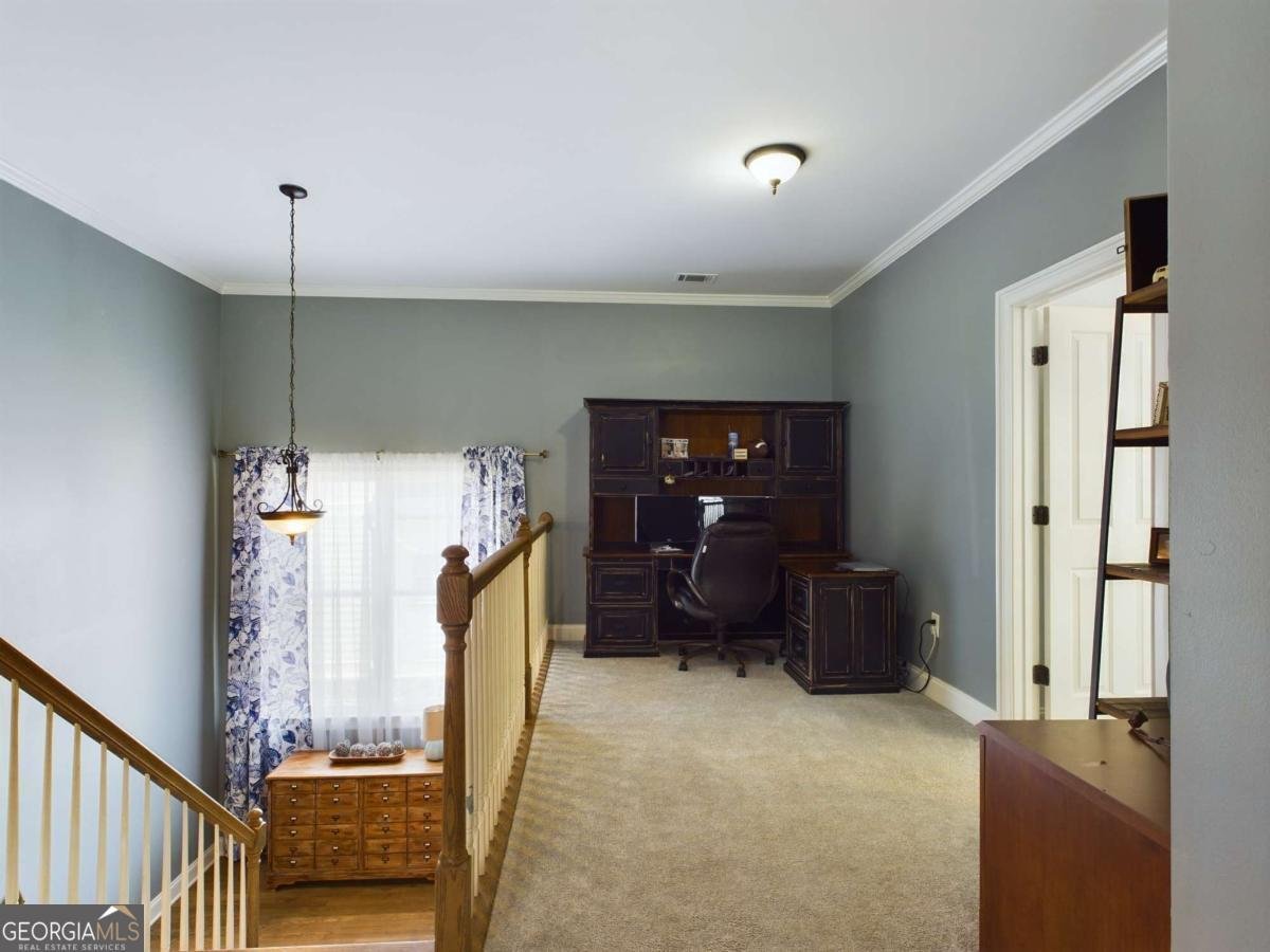 1051 Copperville Drive Watkinsville - Photo 17