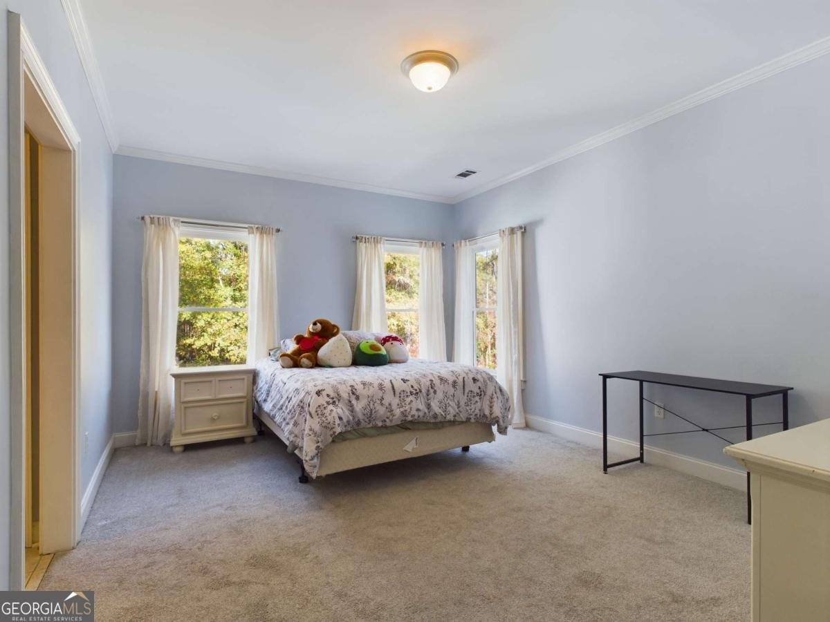 1051 Copperville Drive Watkinsville - Photo 23