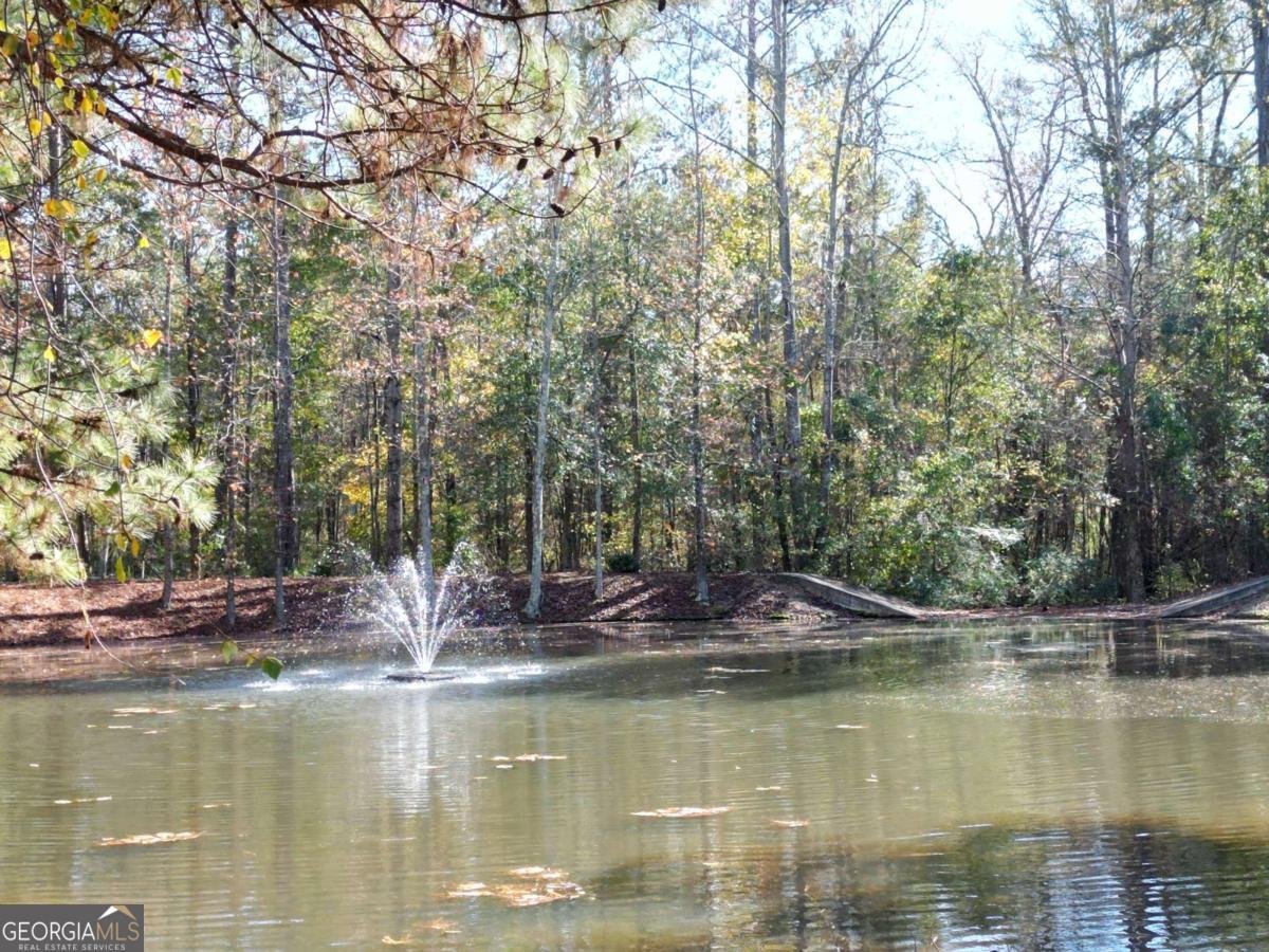 1051 Copperville Drive Watkinsville - Photo 37