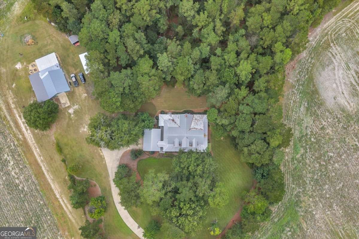 568 Hopewell Church Road Rhine - Photo 62