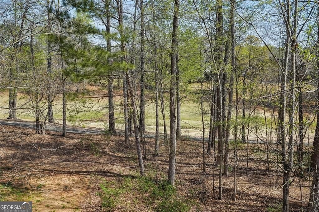 4621 Chartwell Chase Court Flowery Branch - Photo 44