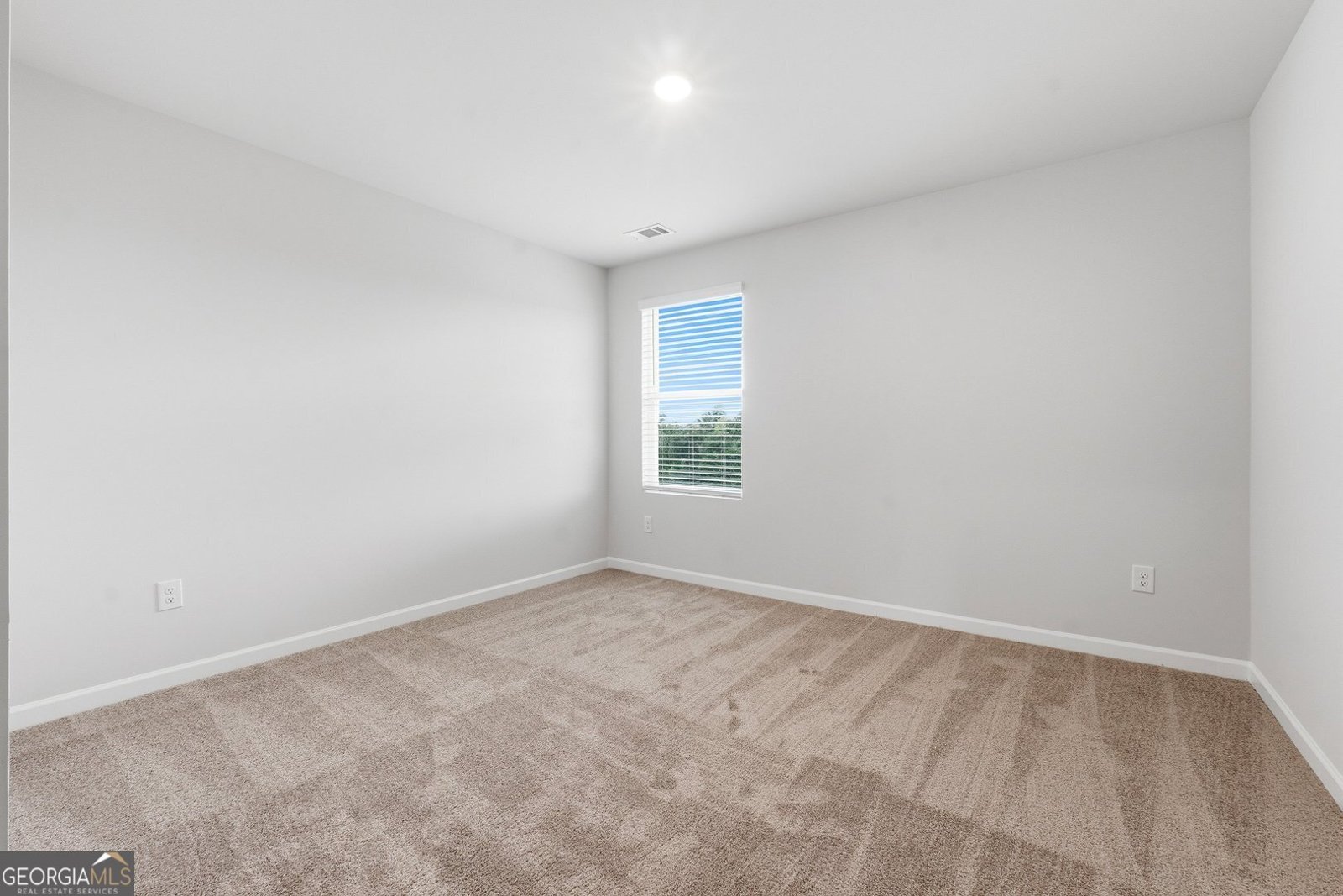 717 Lipizzan Trace Hogansville - Photo 13