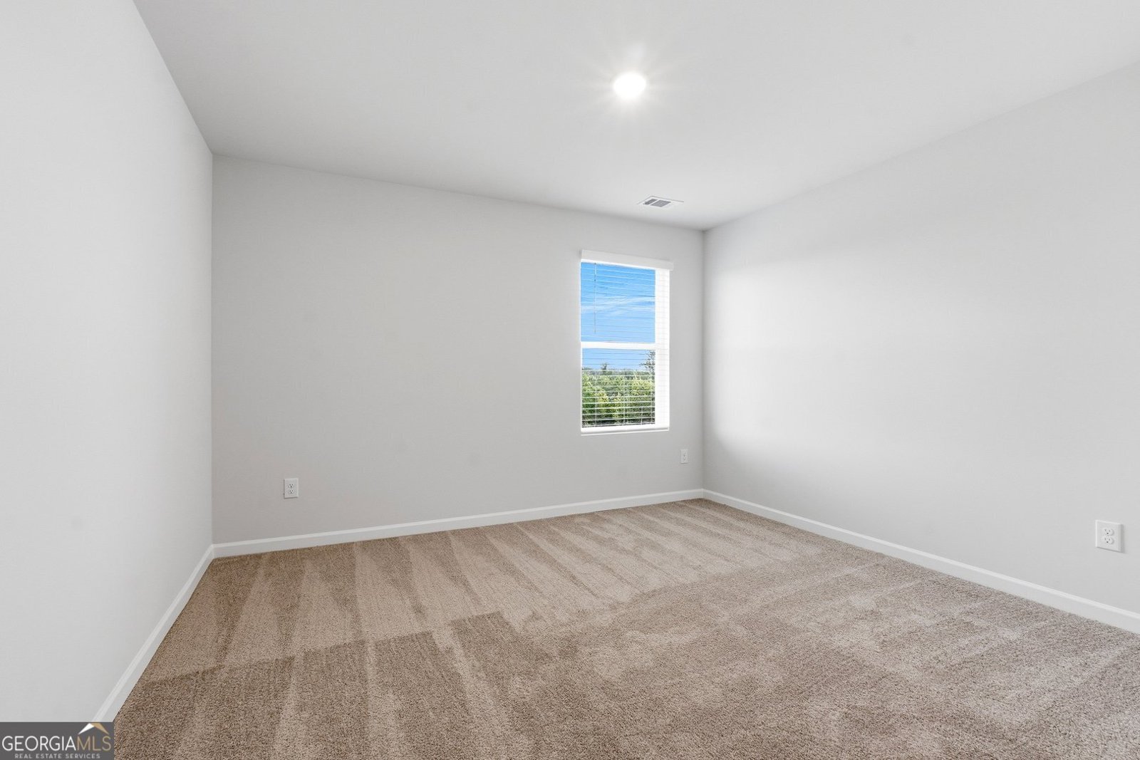 717 Lipizzan Trace Hogansville - Photo 15