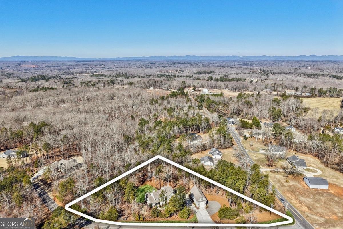44 Henry Pirkle Drive Dawsonville - Photo 9