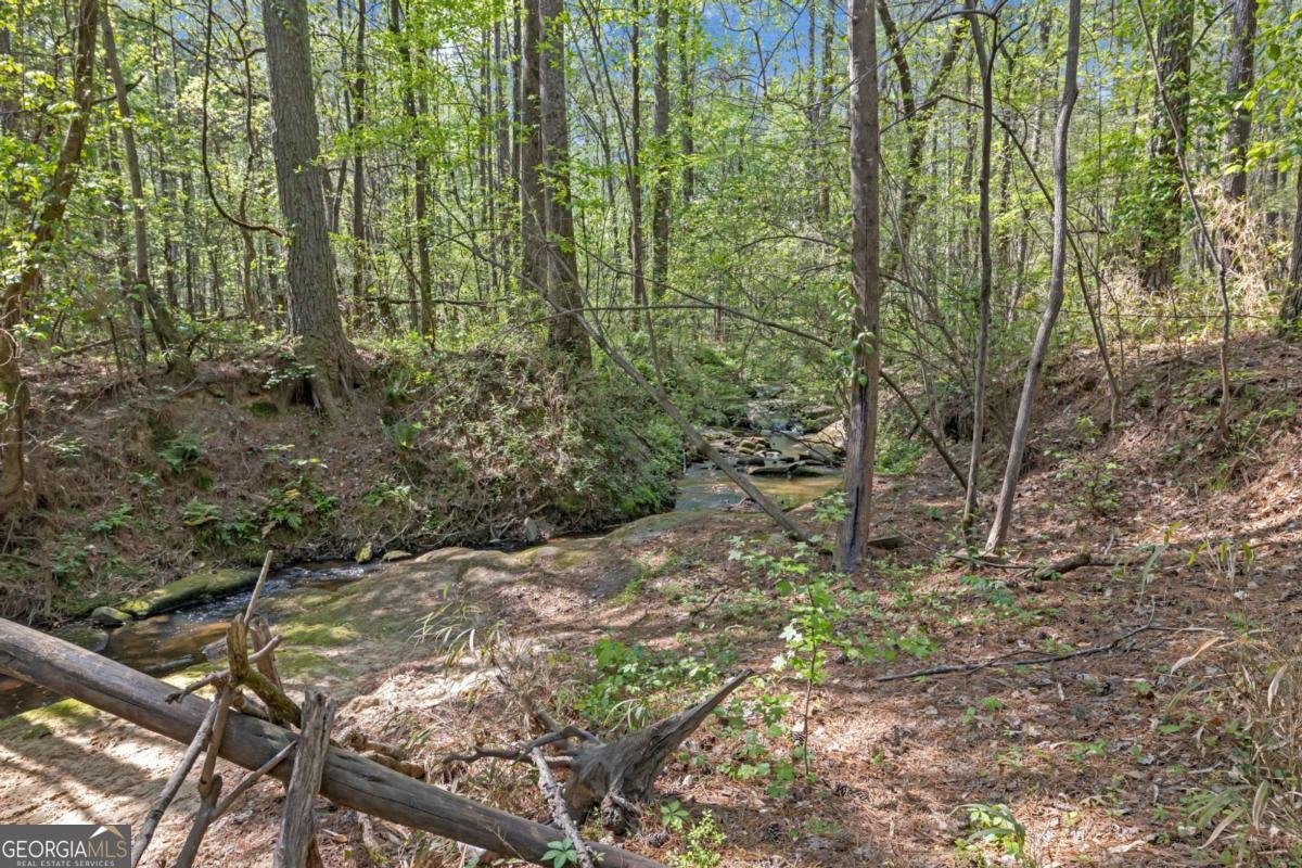 989 Tullis Road Lawrenceville - Photo 24