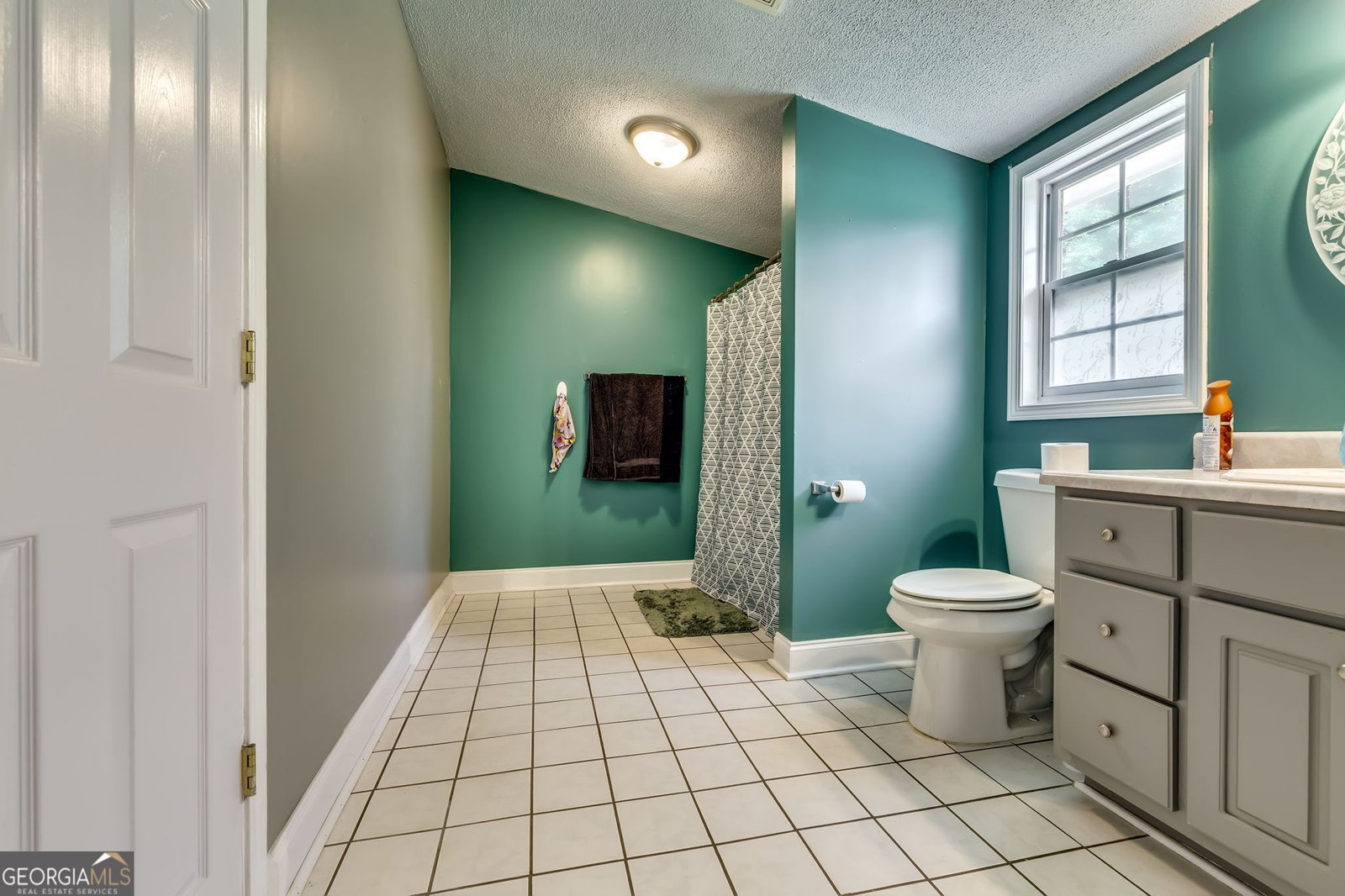 1021 Broughton Lane Newborn - Photo 48