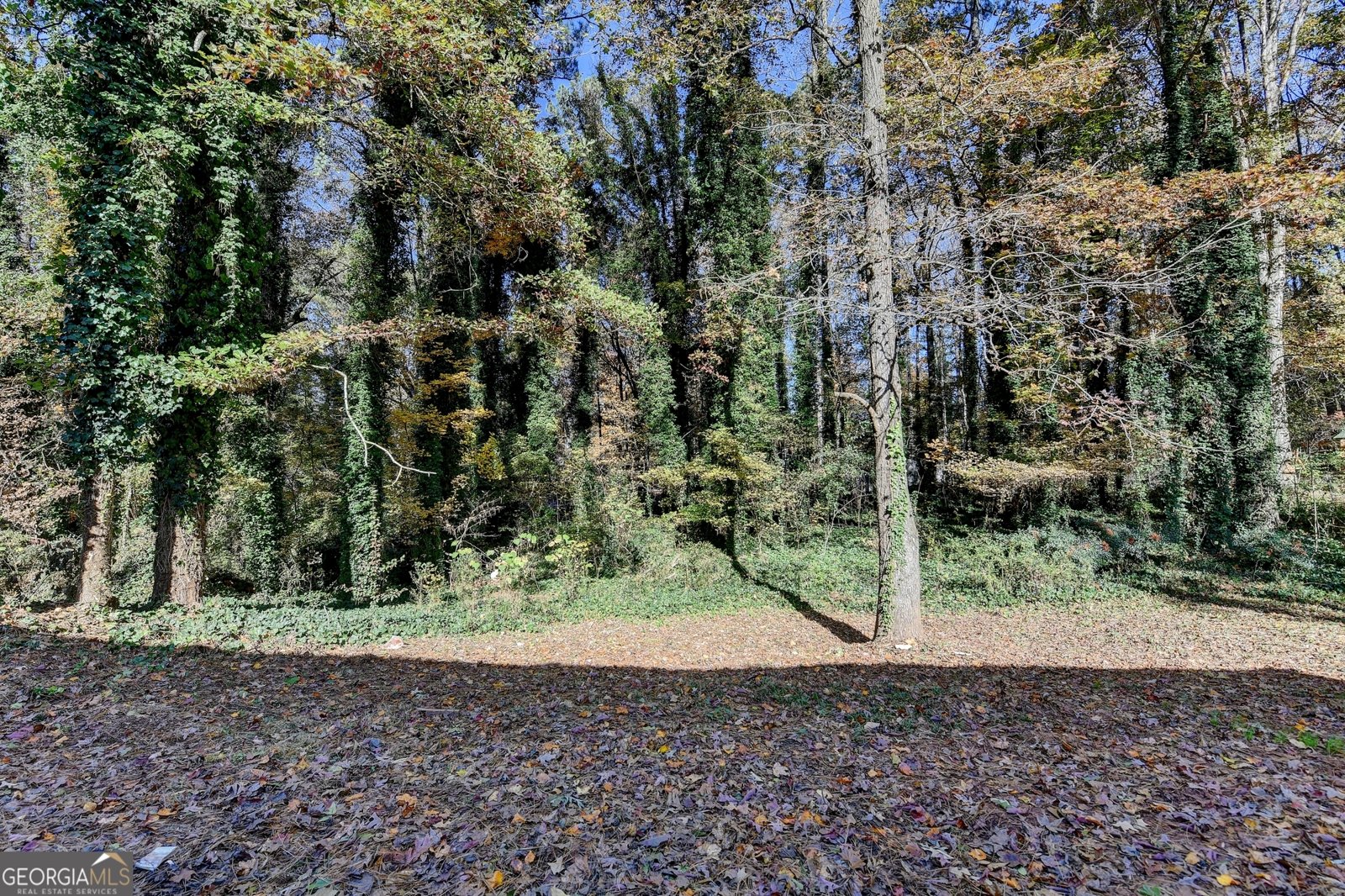 2853 Franklin Road Lawrenceville - Photo 20