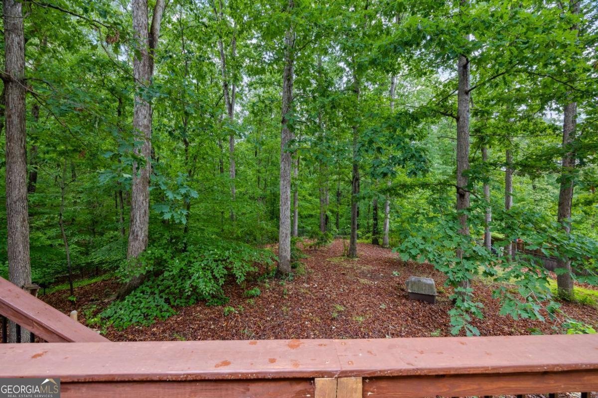 45 Highland Shoals Court Hartwell - Photo 42