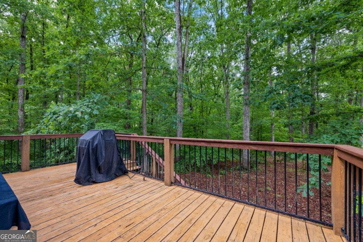 45 Highland Shoals Court Hartwell - Photo 44