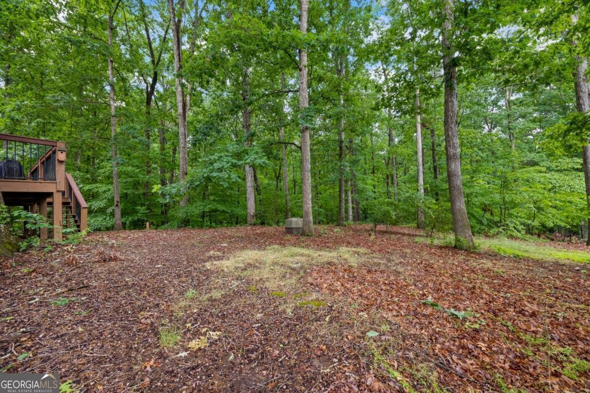 45 Highland Shoals Court Hartwell - Photo 66