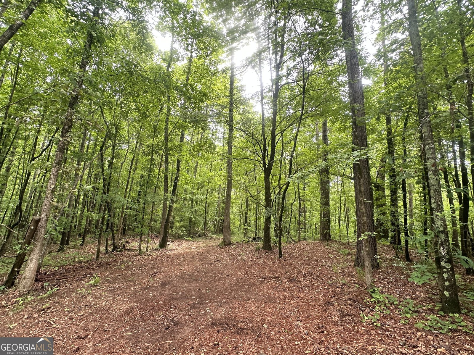 8622 White House Parkway Woodbury - Photo 26