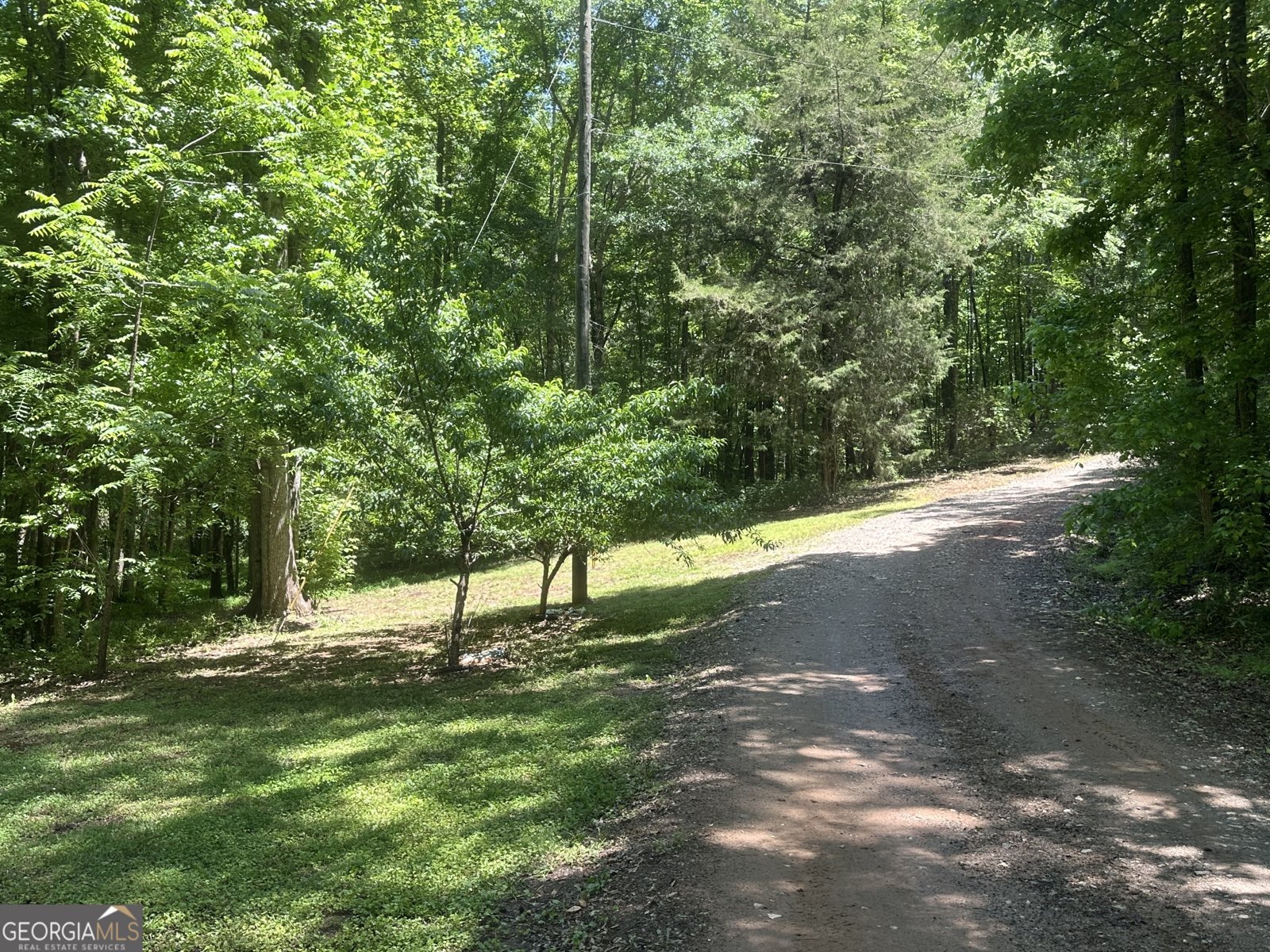 8622 White House Parkway Woodbury - Photo 43