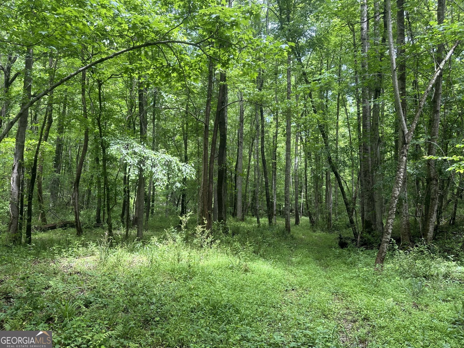 8622 White House Parkway Woodbury - Photo 51