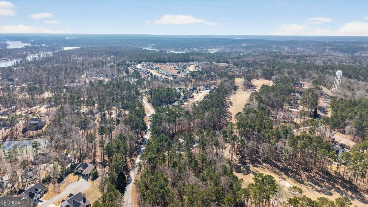 1841 Osprey Poynte Greensboro - Photo 19