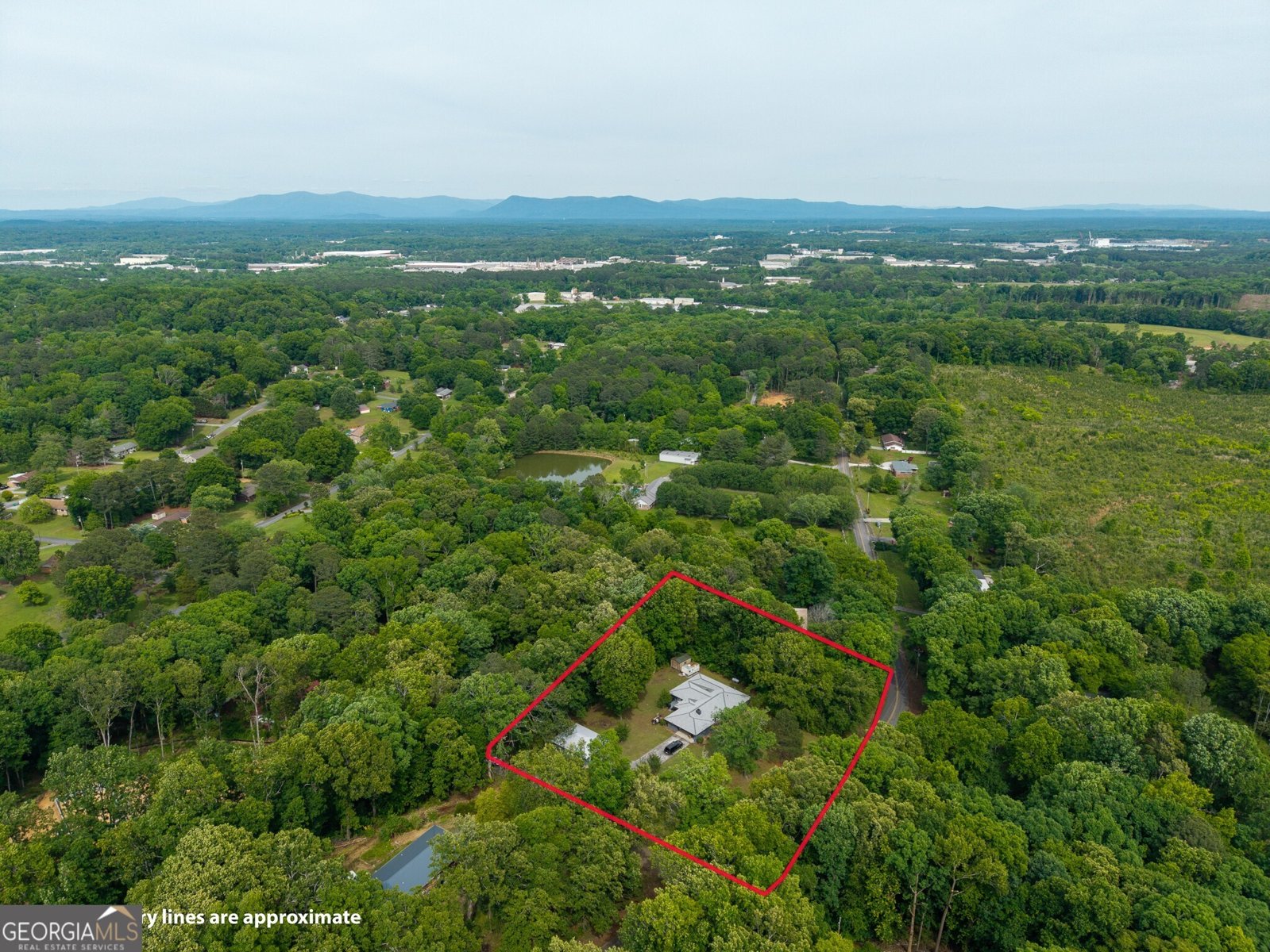 244 Forest Hill Road Dalton - Photo 51