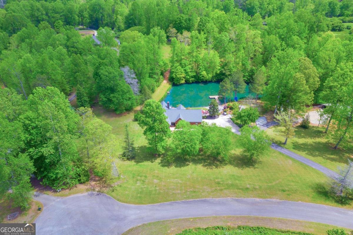 6200 Bent Tree Cove Murrayville - Photo 29