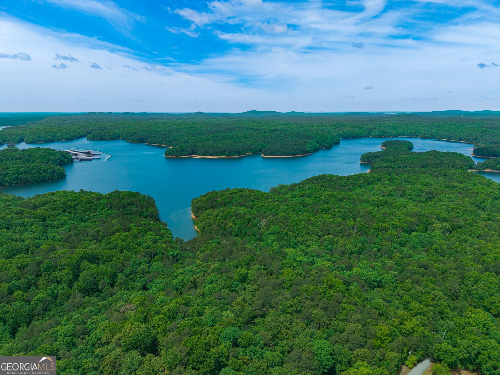 1429 Towne Harbor Passage Woodstock - Photo 36