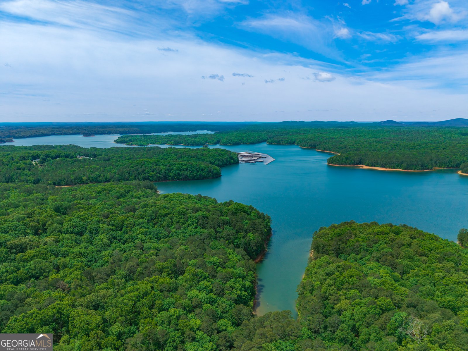 1429 Towne Harbor Passage Woodstock - Photo 37
