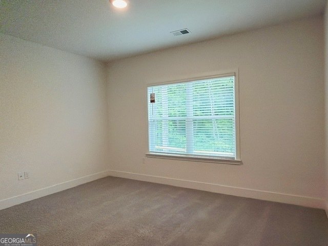 3354 Siena Place Douglasville - Photo 28