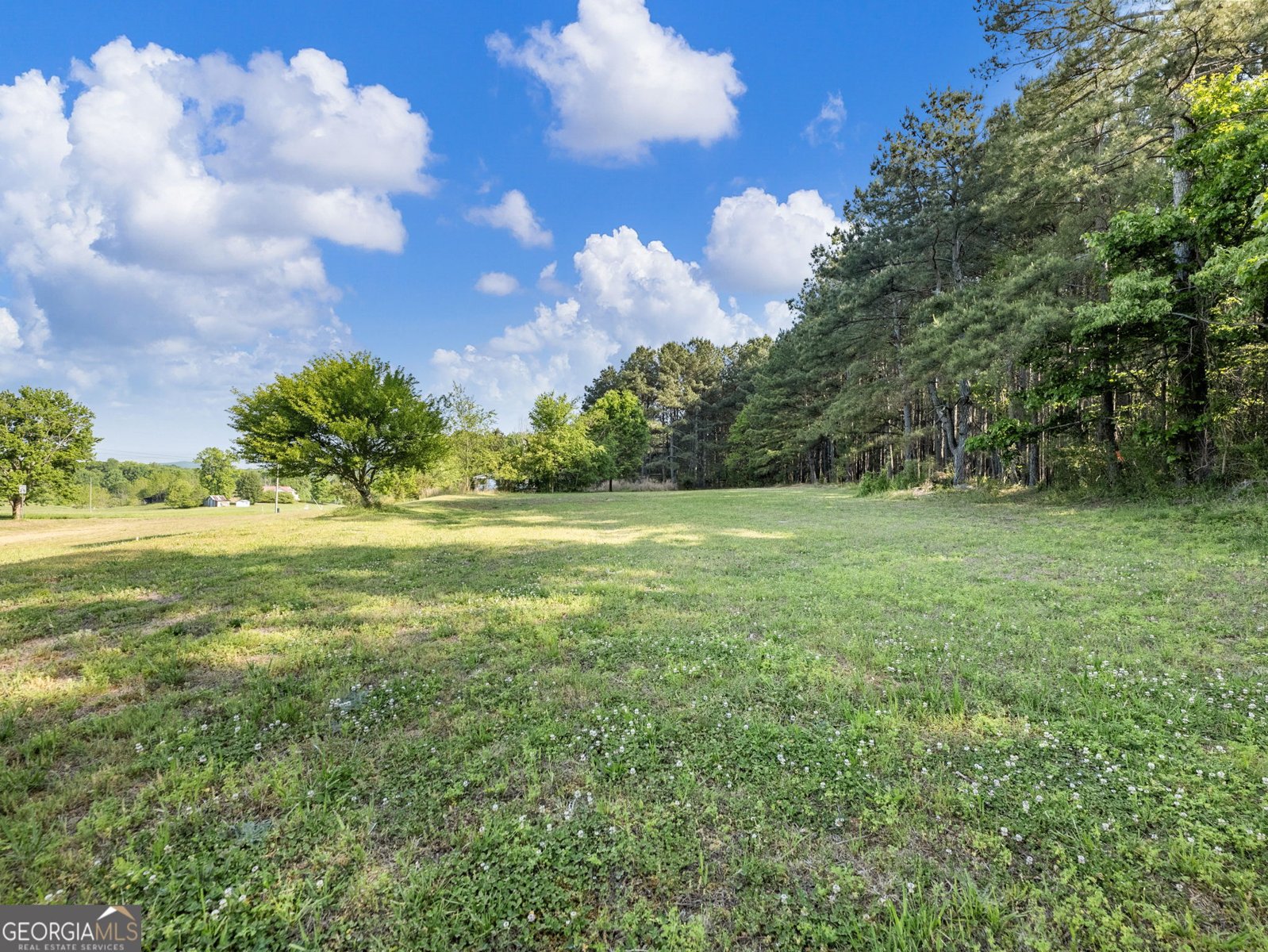 8490 Belton Bridge Road Lula - Photo 41