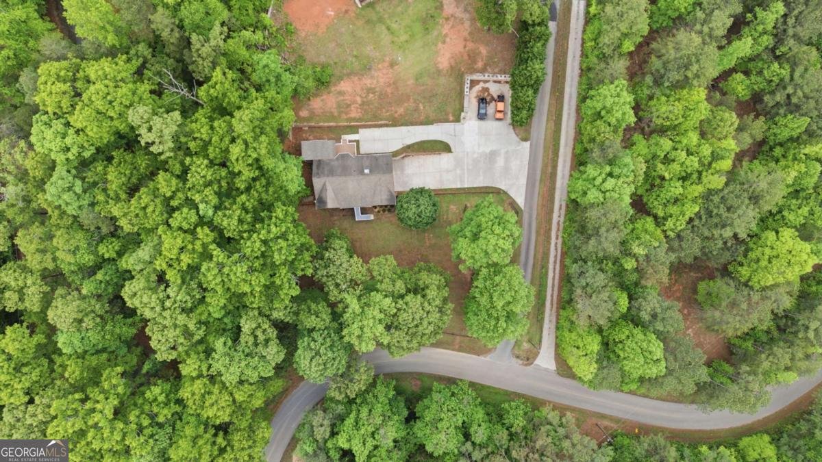 7161 Freeman Road Cumming - Photo 28