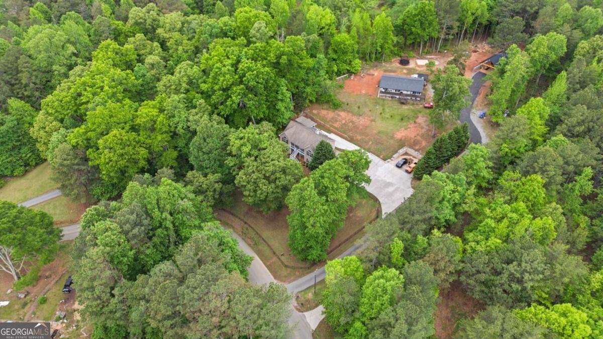7161 Freeman Road Cumming - Photo 41