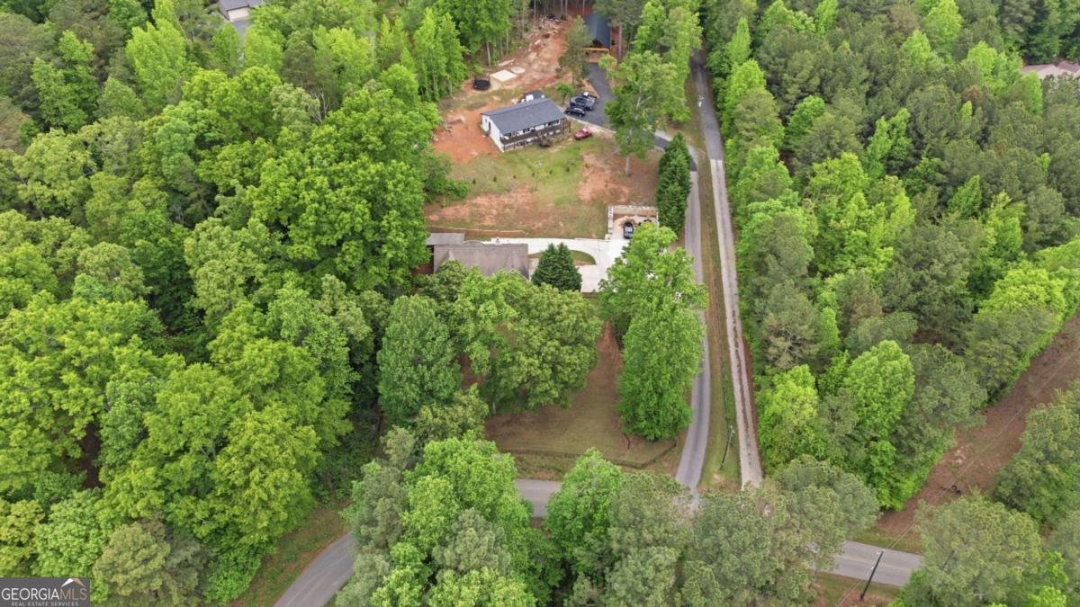 7161 Freeman Road Cumming - Photo 42