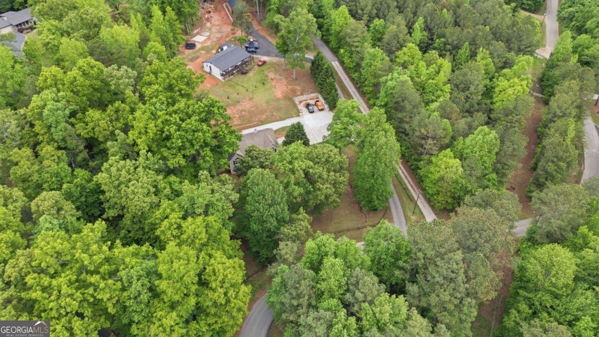 7161 Freeman Road Cumming - Photo 43