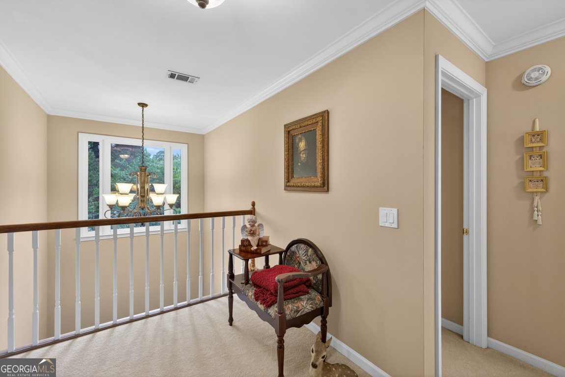 42 Pheasant Run Hoschton - Photo 41