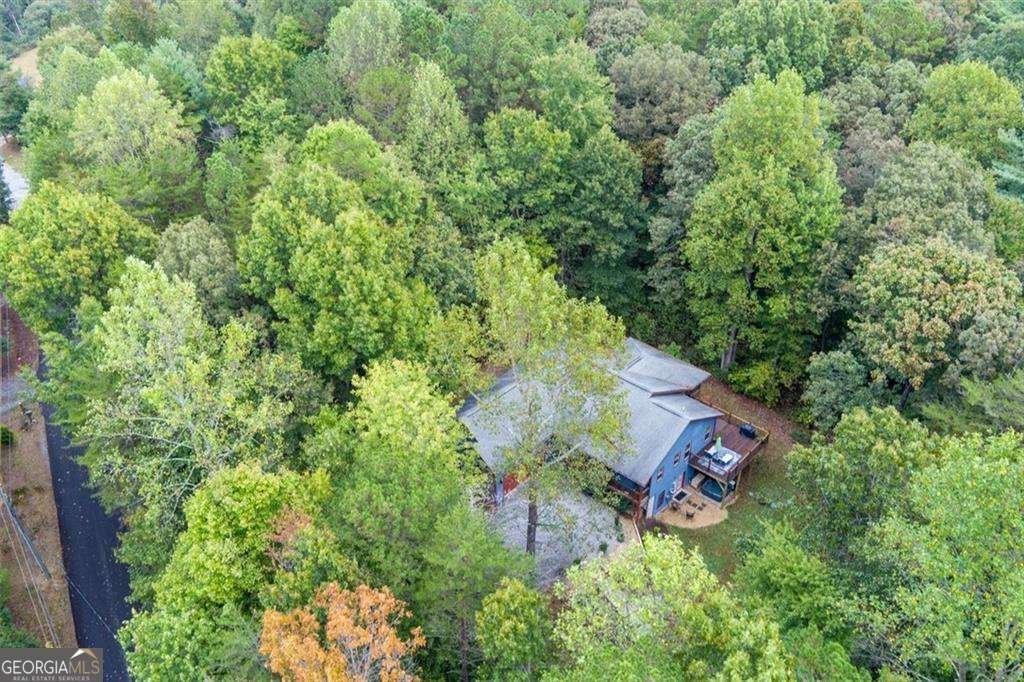 67 Ballard Lane Ellijay - Photo 57