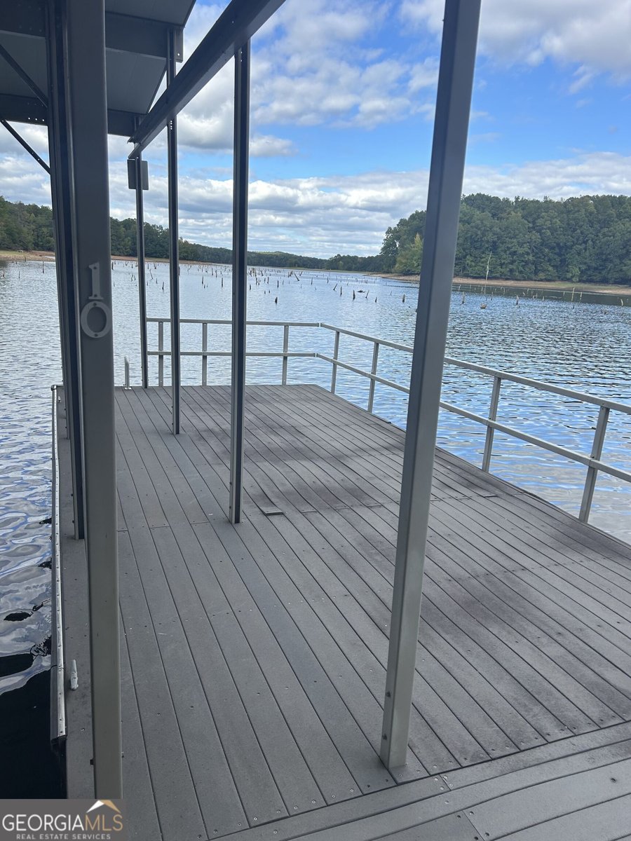 36 Fish Camp Lagrange - Photo 48